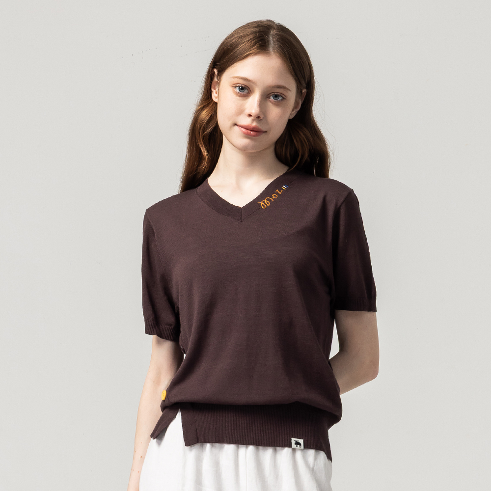 Ice Silk V-Neck Knit Tee – Iced Cocoa