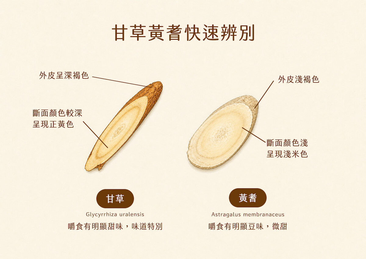 黃耆與甘草的迅速比較