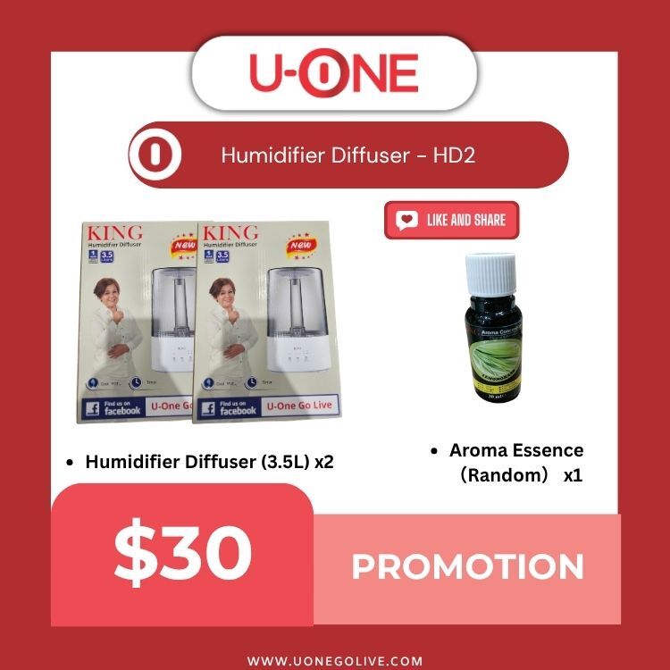 Humidifier Diffuser - HD2