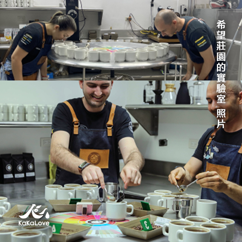 哥倫比亞 酒香日曬 希望莊園 三龍