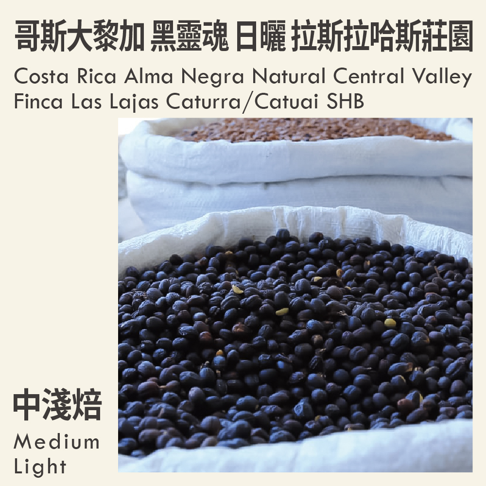哥斯大黎加 黑靈魂 日曬 中央谷地 拉斯拉哈斯莊園 卡杜拉/卡杜艾 SHB