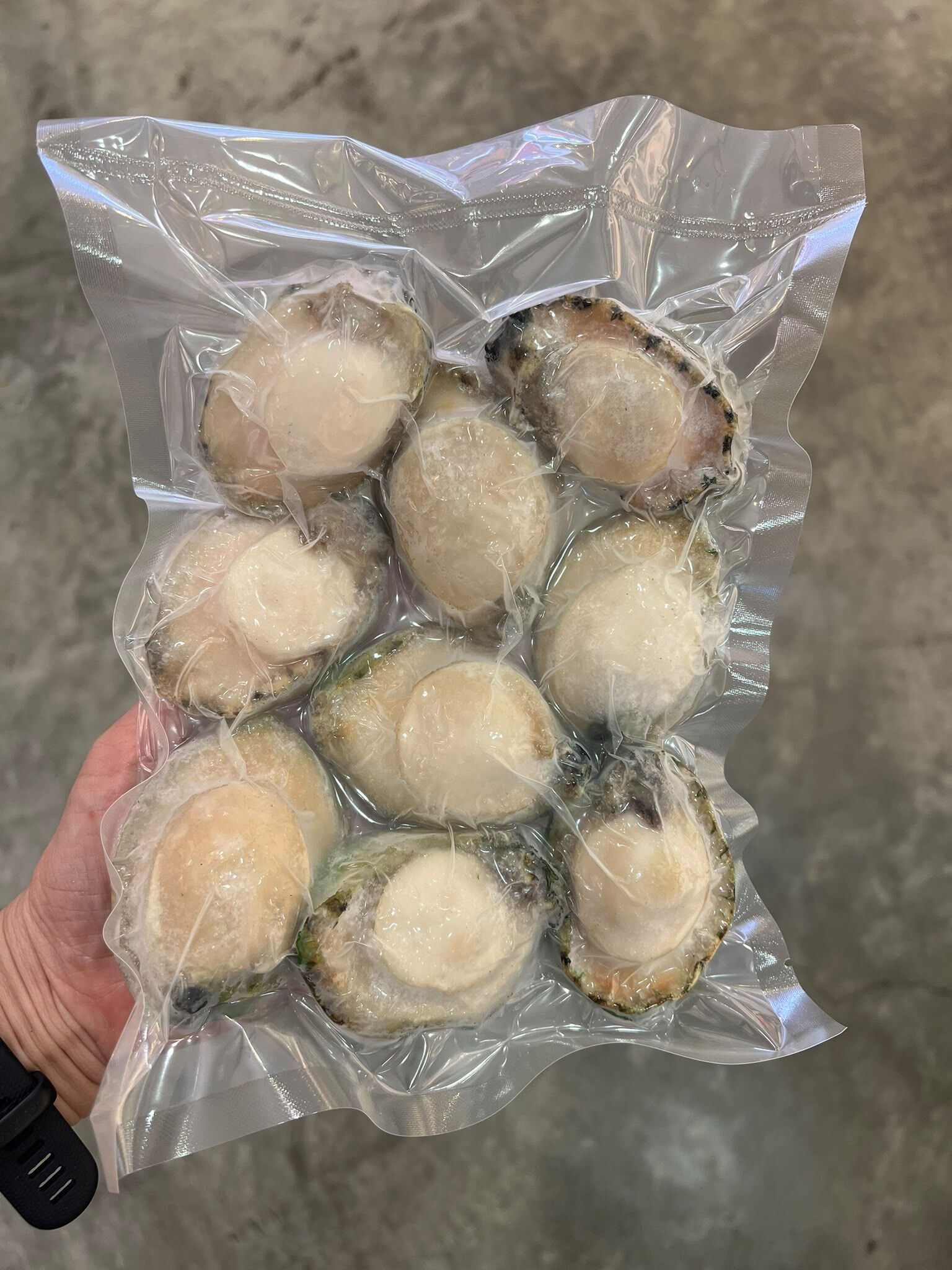急凍澳洲青邊BB鮑魚(9-10)