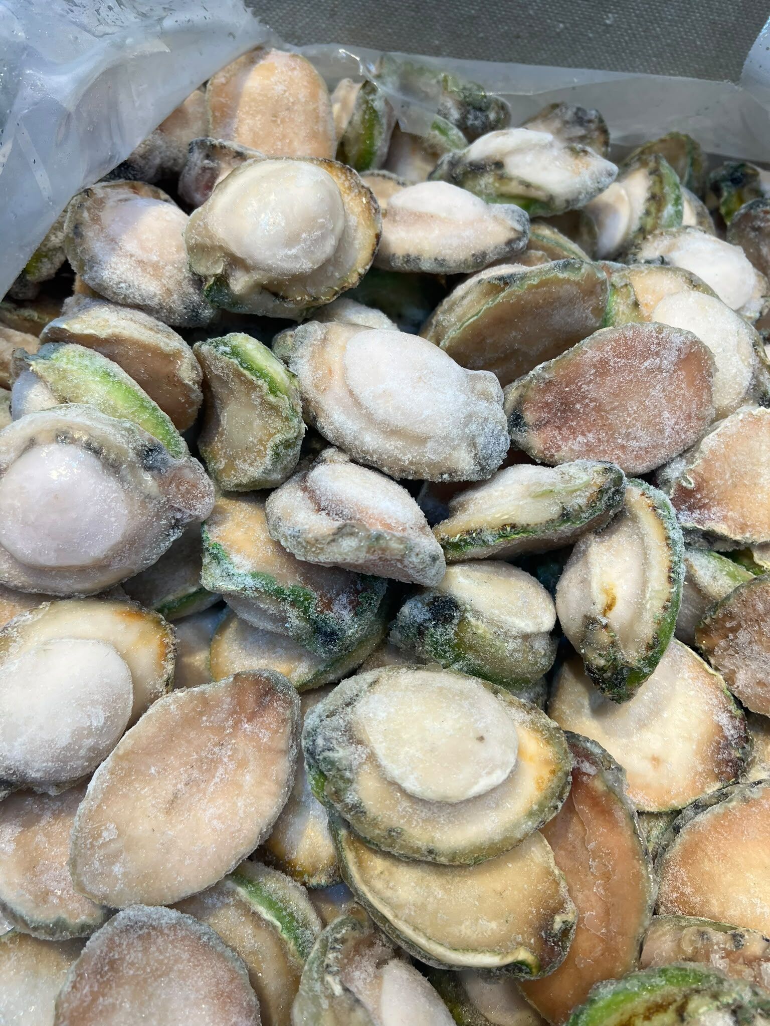 急凍澳洲青邊BB鮑魚(9-10)