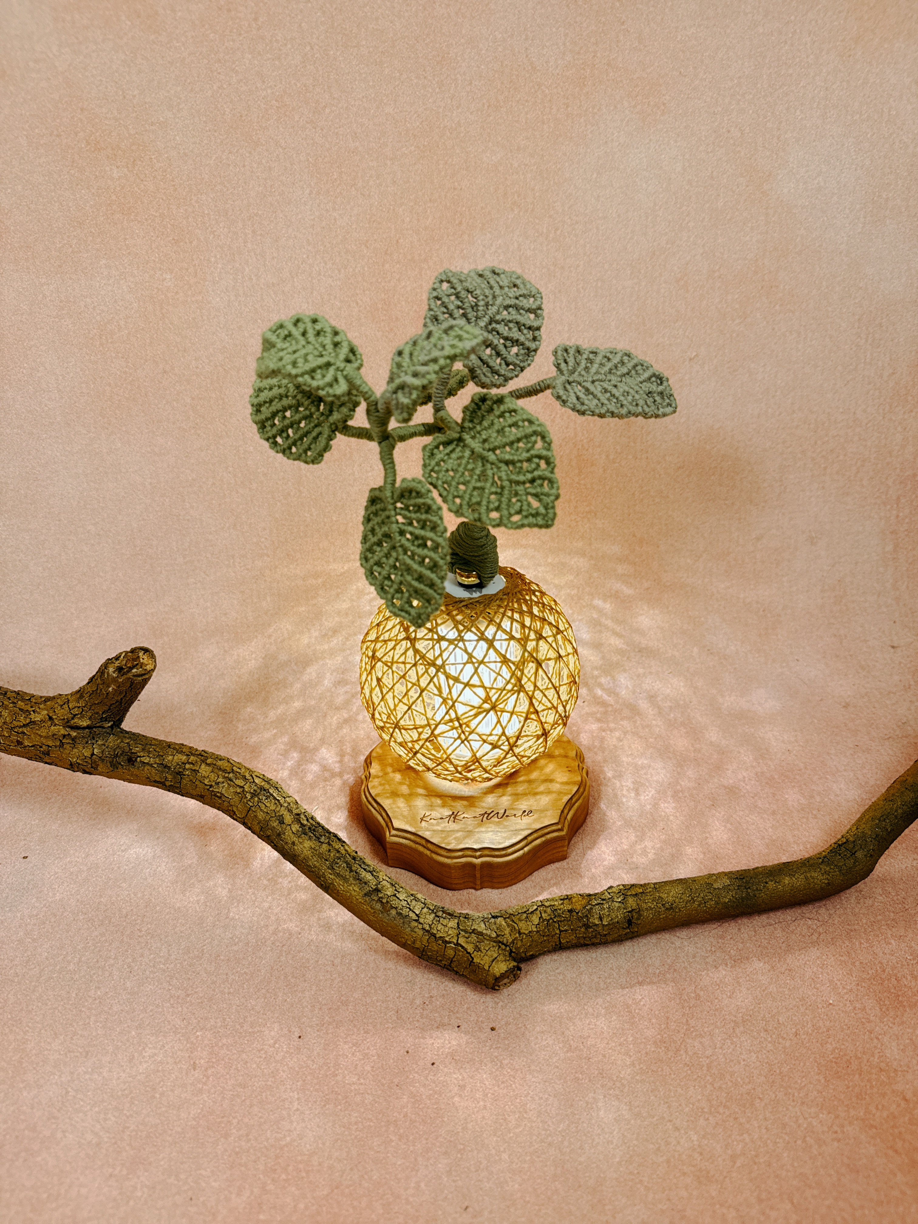 KnotKnotWorld Kokedama 編葉光球燈