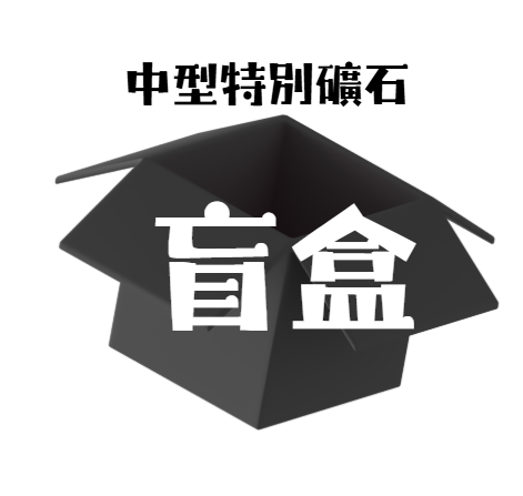 DQ262 DG 中型特別礦石 盲盒