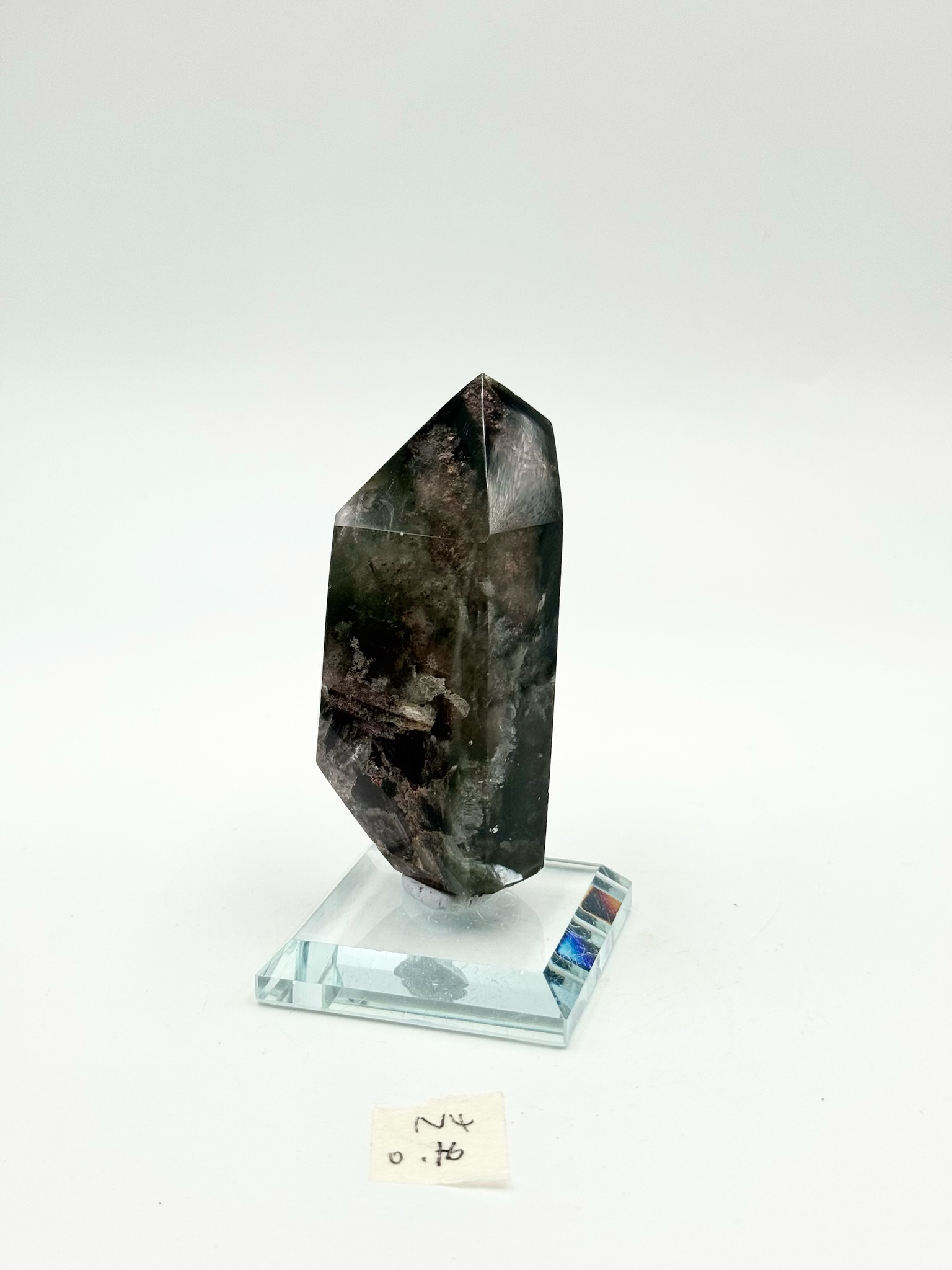DQ072 N4 幽靈共生0.16kg