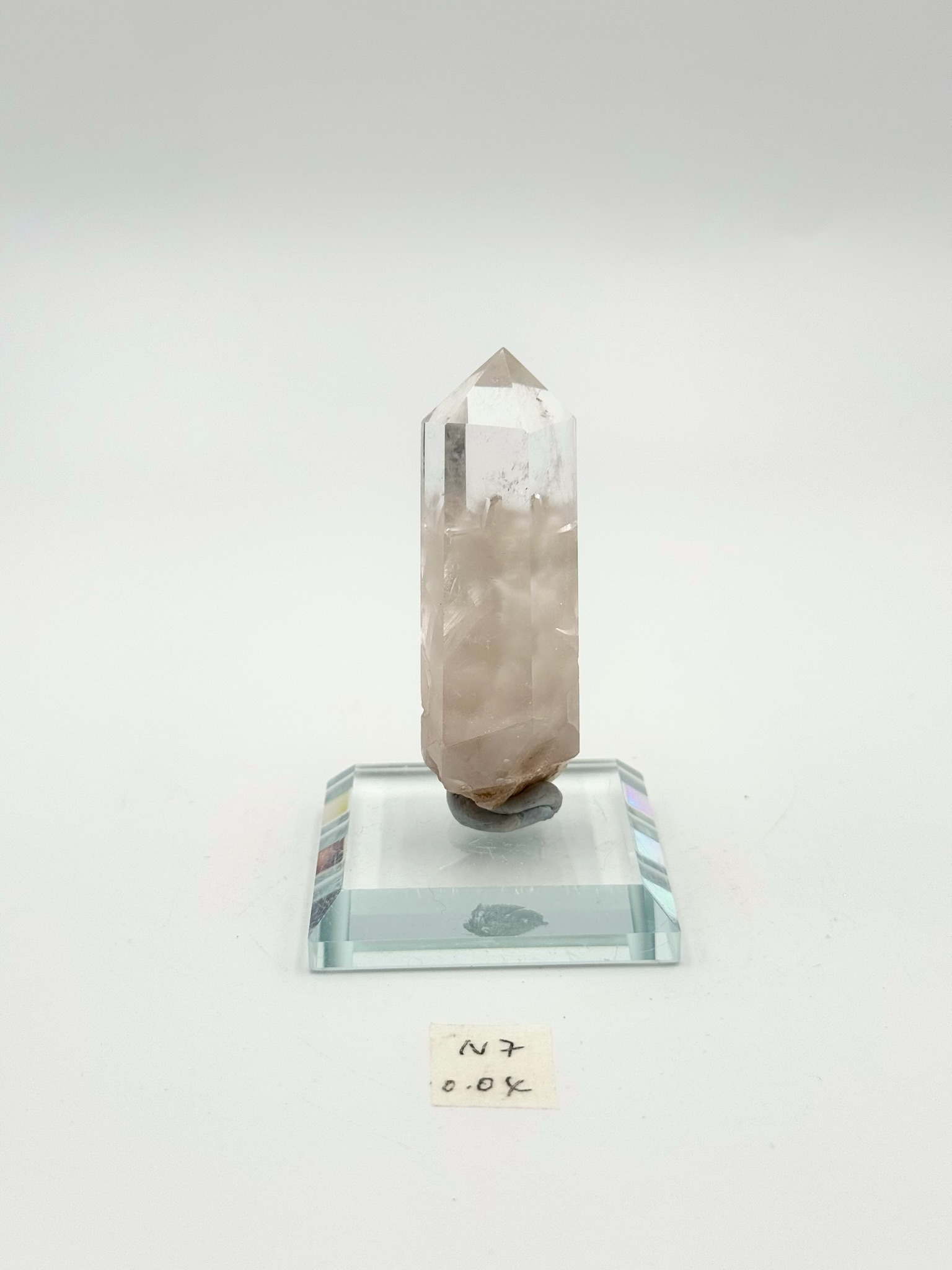 DQ075 N7 幽靈共生0.04kg