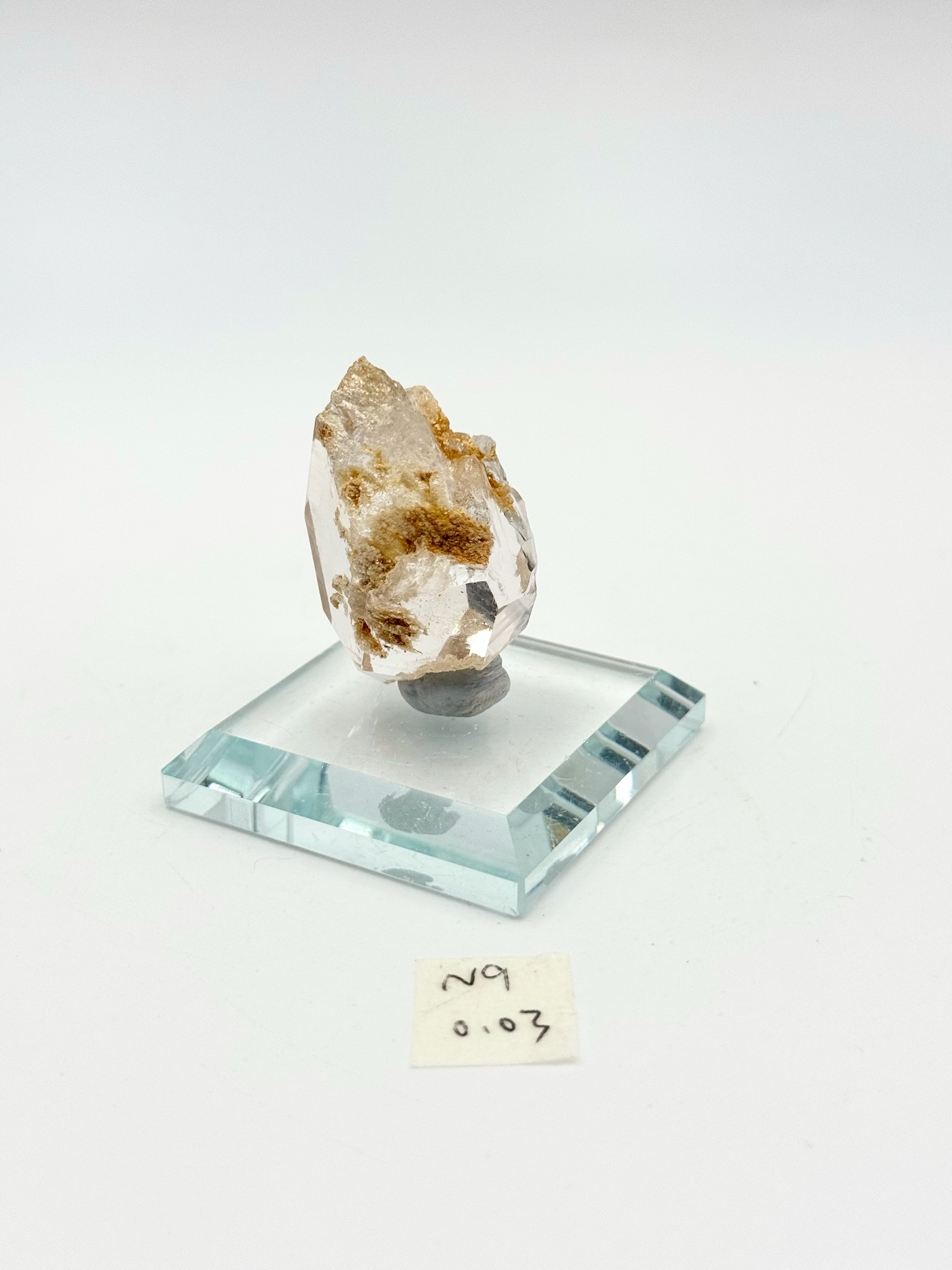 DQ077 N9 幽靈共生0.03kg