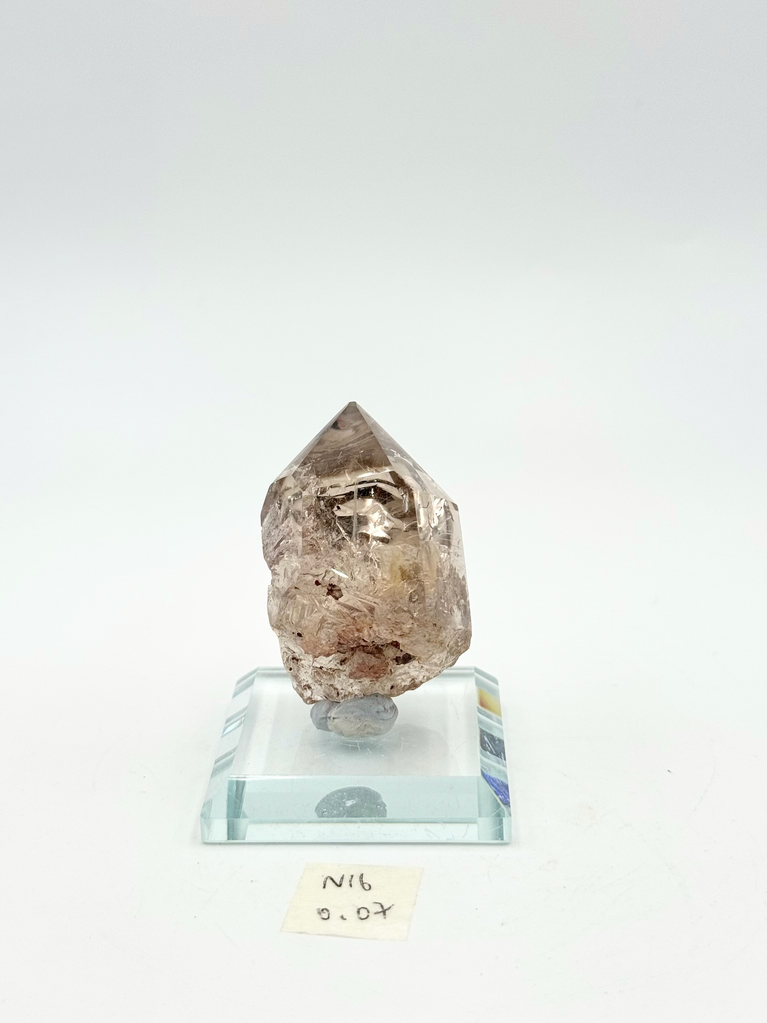 DQ084 N16 幽靈共生0.07kg