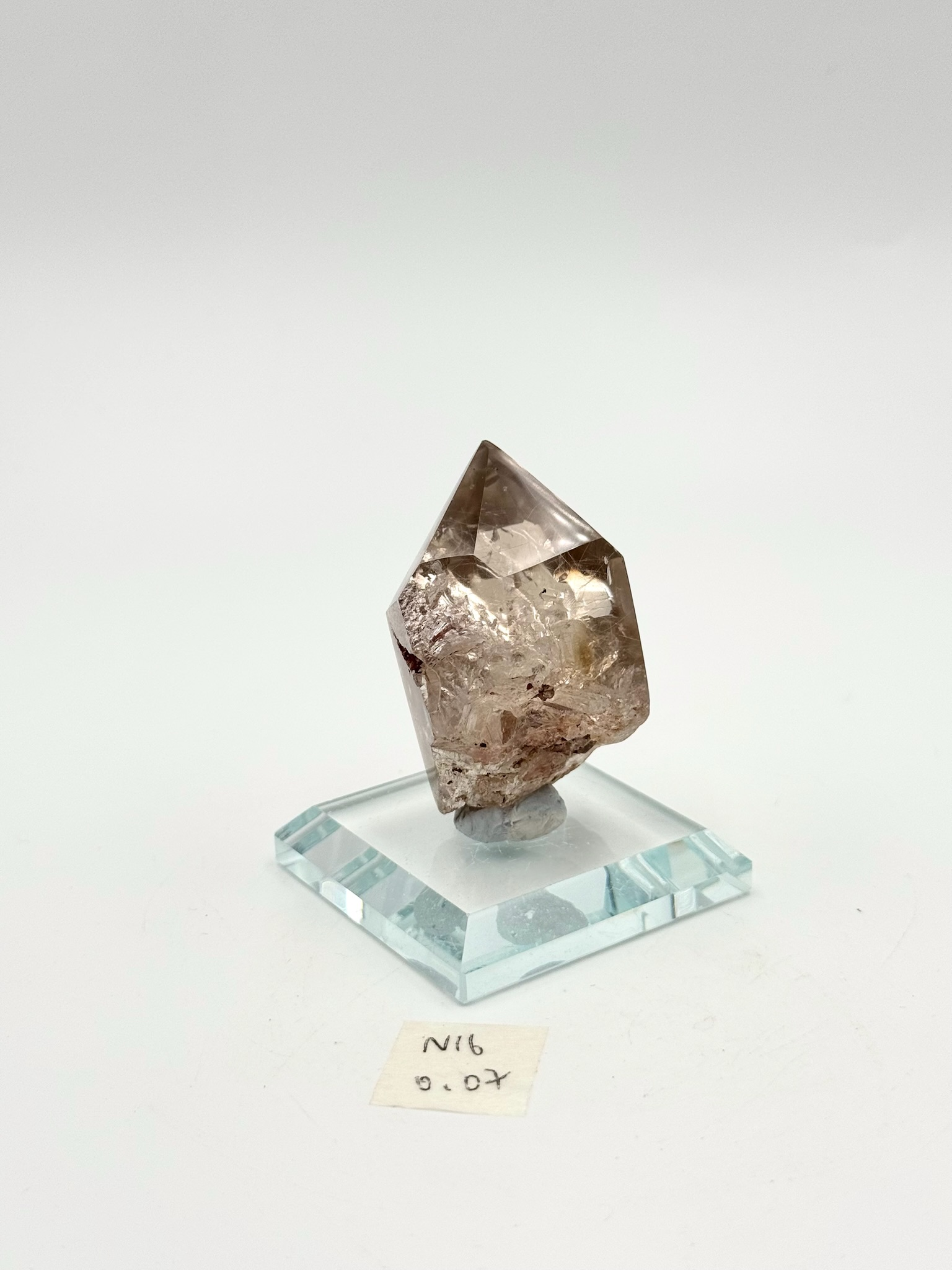 DQ084 N16 幽靈共生0.07kg