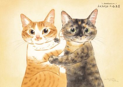 大衛煮愛．貓咪插畫明信片 11款