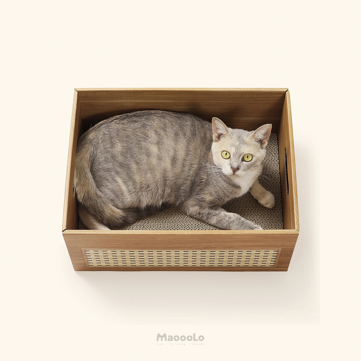 小盒子睡窩 ⌑ Little Box Nest