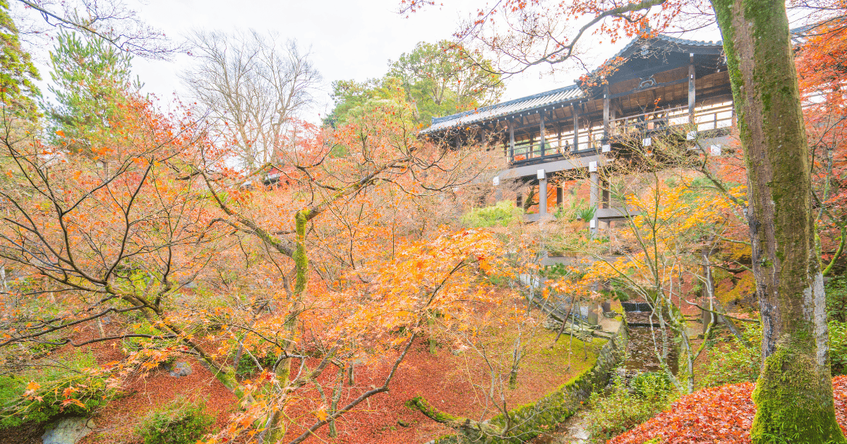 東福寺紅葉景觀