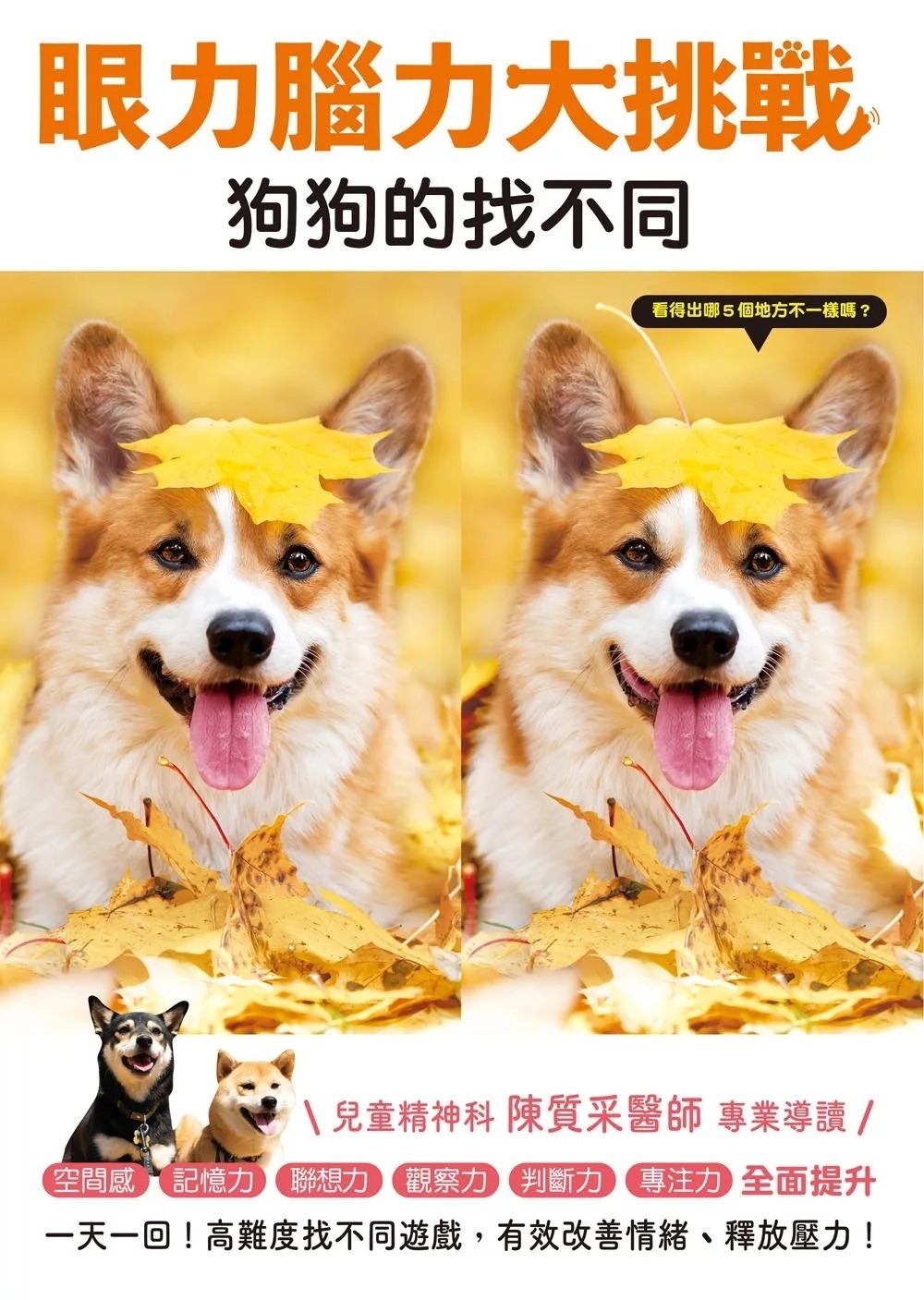 眼力腦力大挑戰：狗狗的找不同