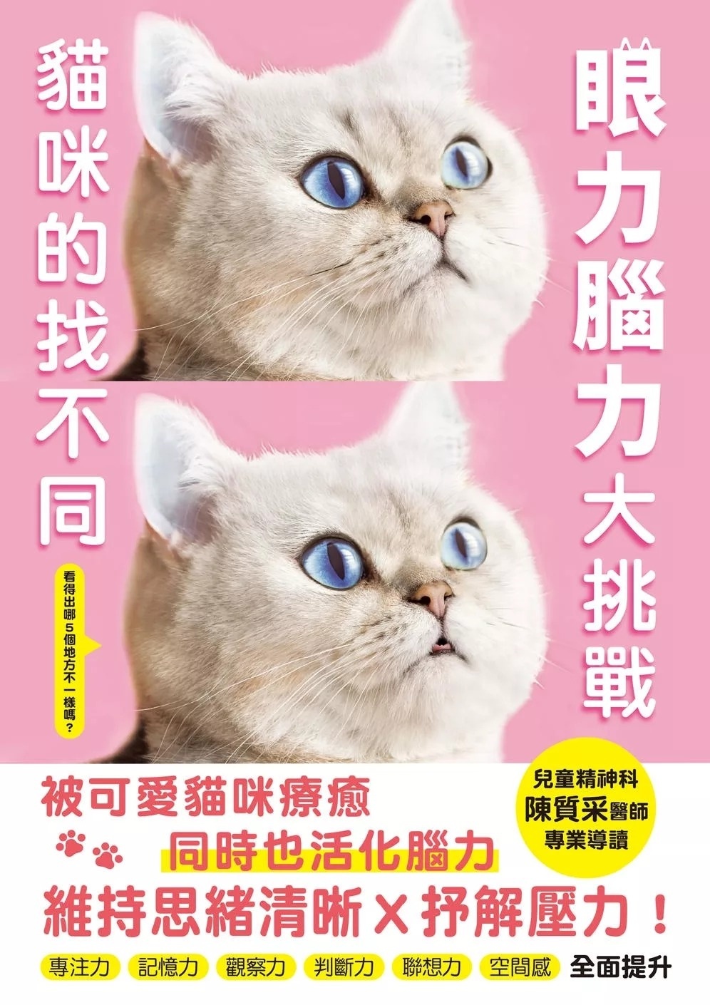 眼力腦力大挑戰：貓咪的找不同