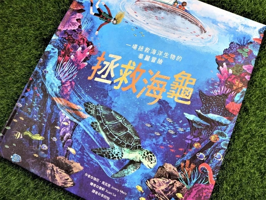 拯救海龜