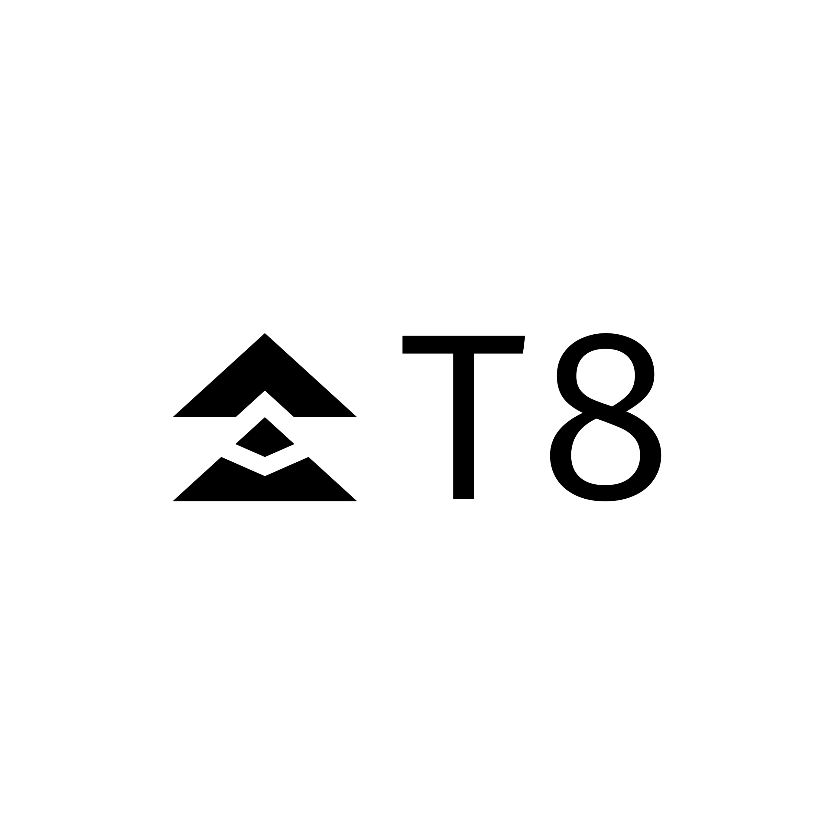 T8.run