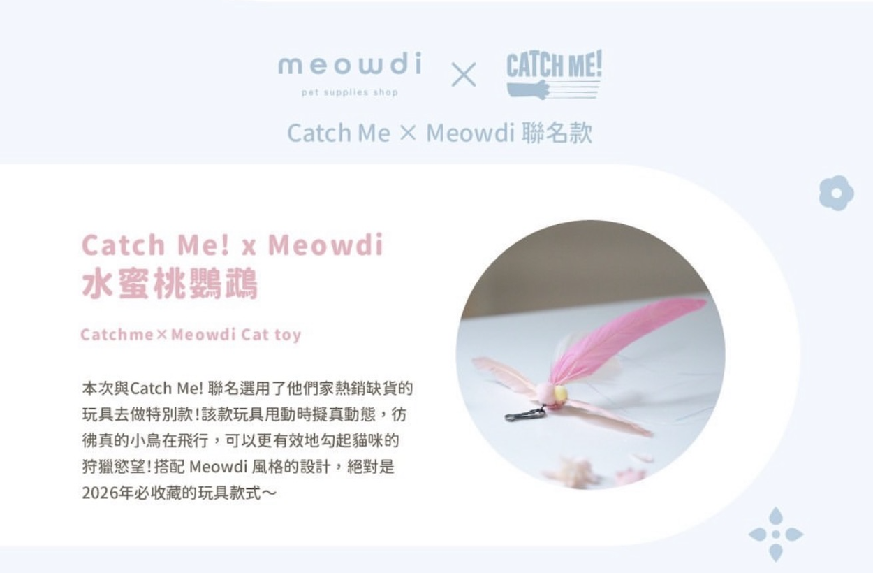Meowdi X Catch Me! |水蜜桃鸚鵡