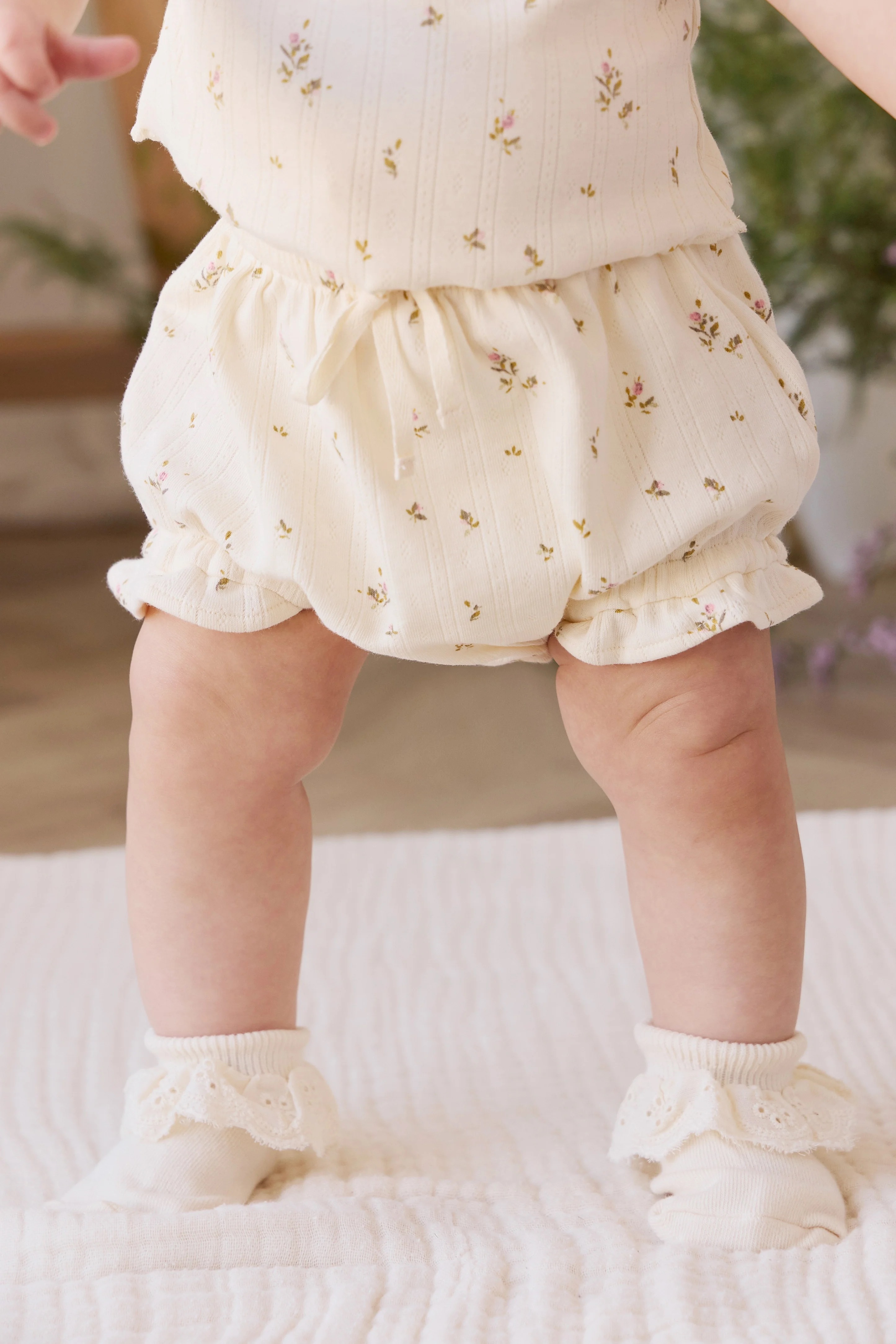 【預購】JAMIE KAY -Organic Cotton Pointelle Frill Bloomer（Dina Antique）