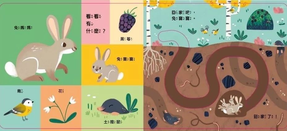 手眼協調繪本  帶寶寶回家