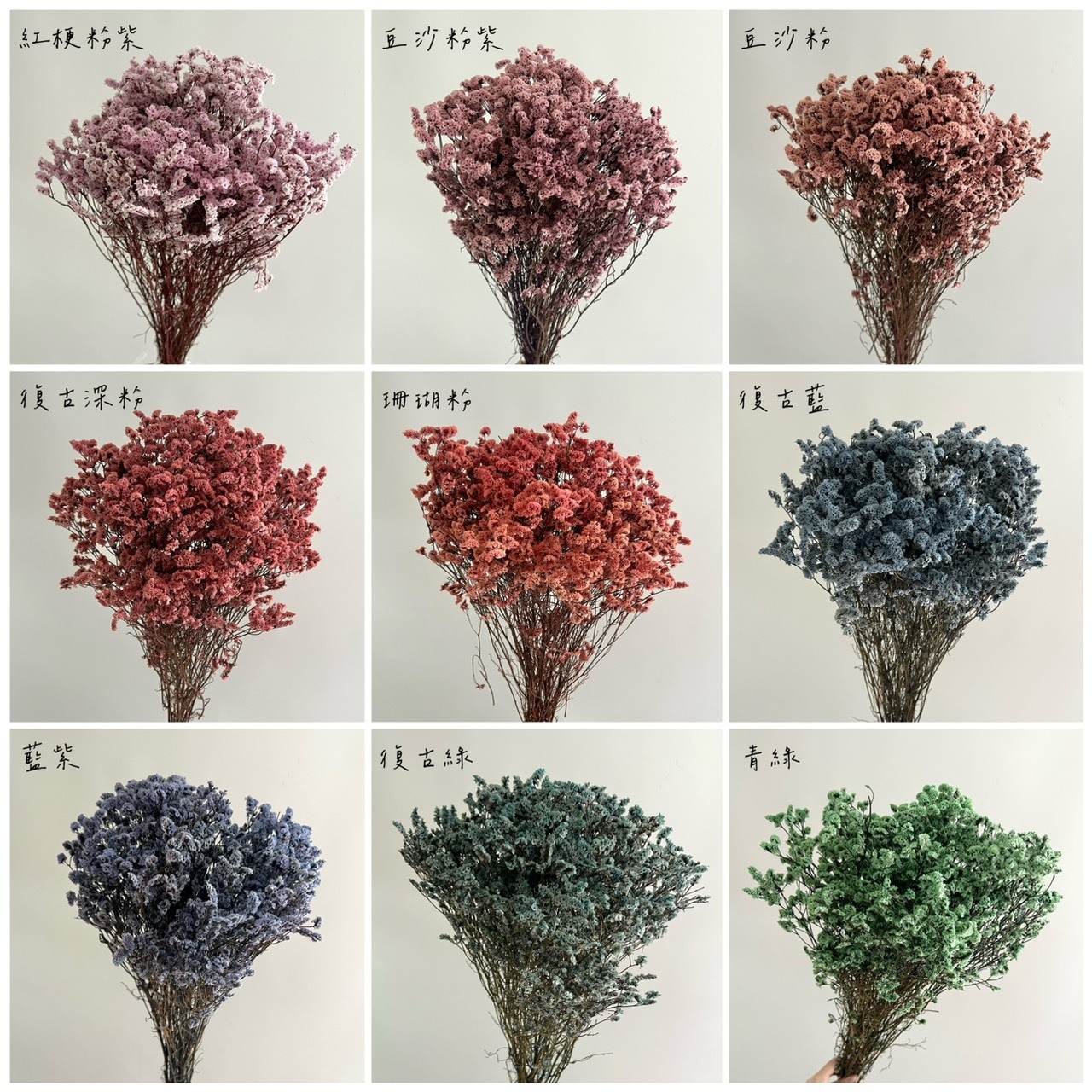 不凋水晶花