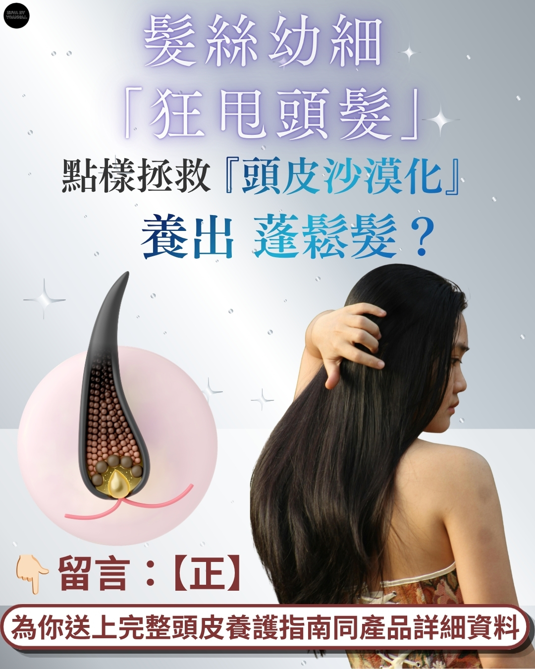 脫髮白髮bye bye