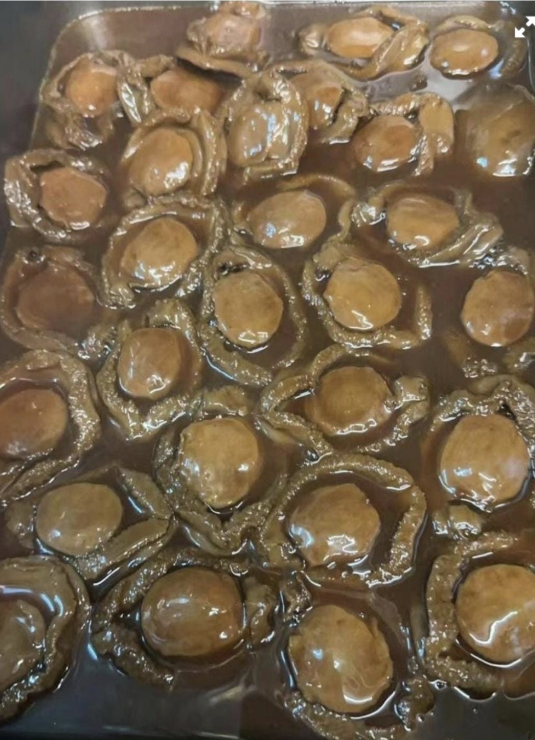 (V1)(包煮)(供應商直接到付寄出)名人南非鮑魚(一斤21個)- 海味直播 #2008hj
