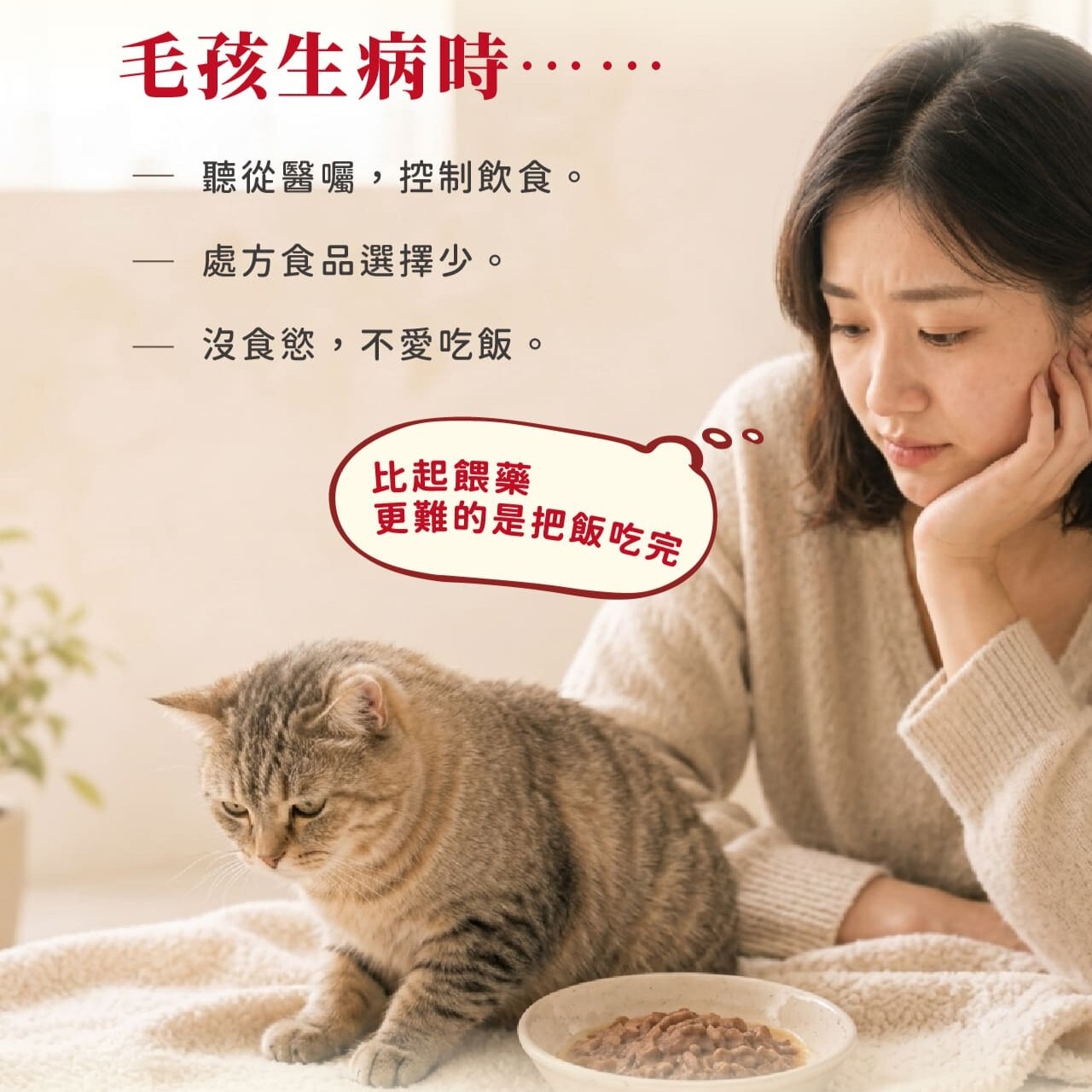 Animonda 愛諾德｜恩護佳專業貓咪處方保健餐盒 100g 餐包85g (原 阿曼達處方保健)