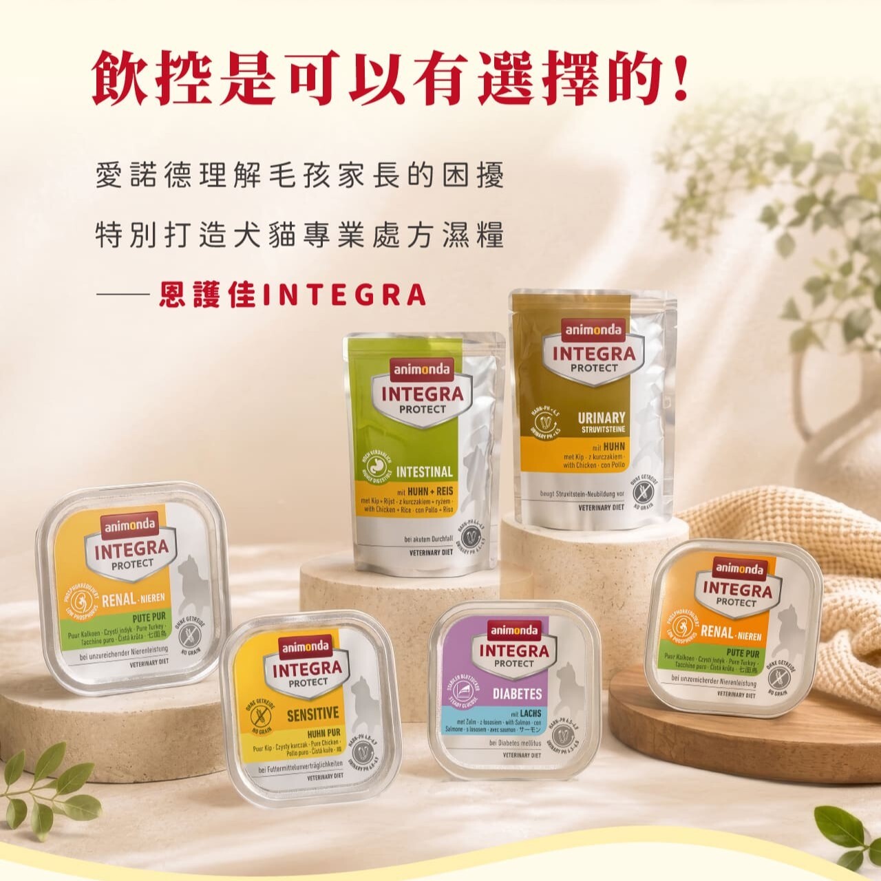 Animonda 愛諾德｜恩護佳專業貓咪處方保健餐盒 100g 餐包85g (原 阿曼達處方保健)