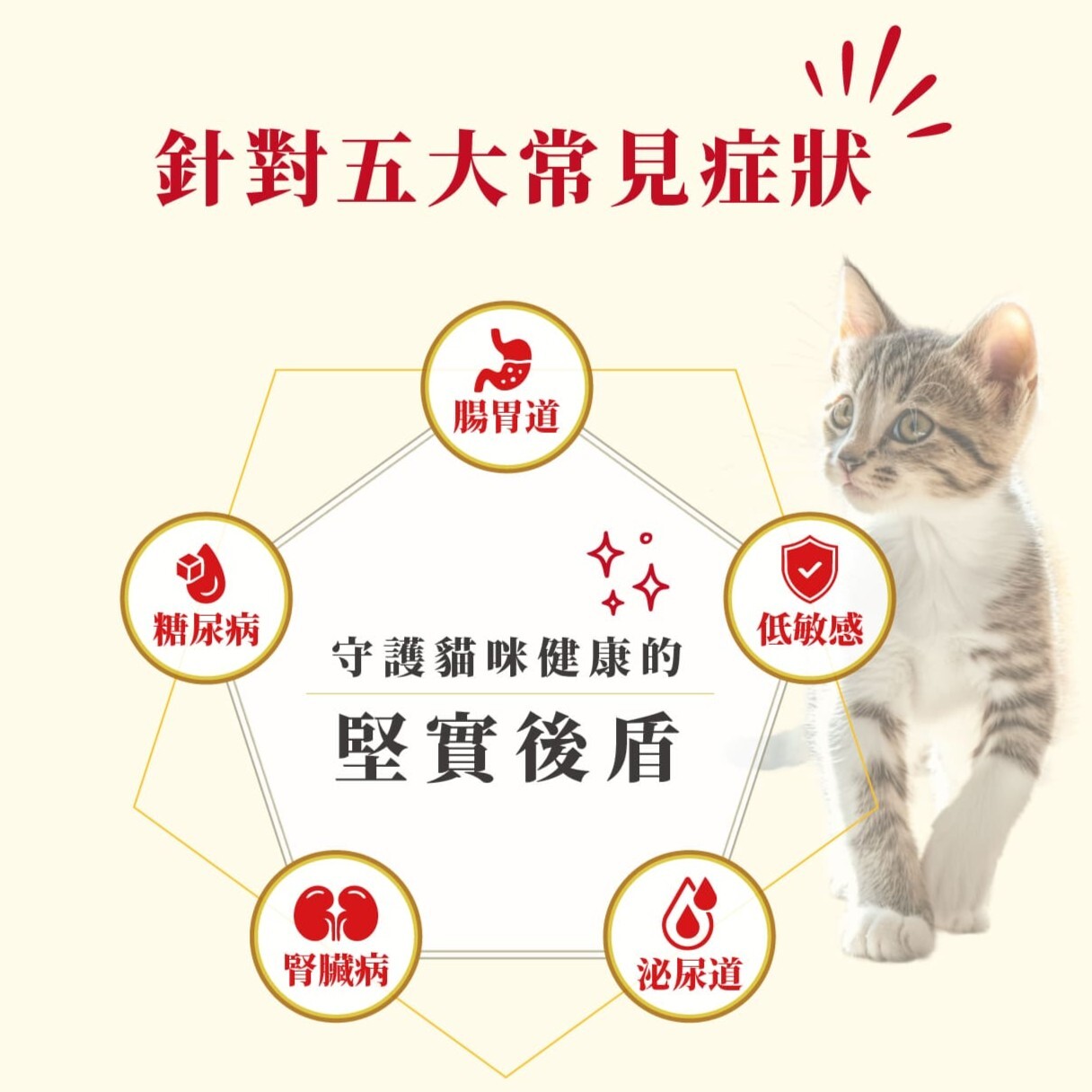 Animonda 愛諾德｜恩護佳專業貓咪處方保健餐盒 100g 餐包85g (原 阿曼達處方保健)