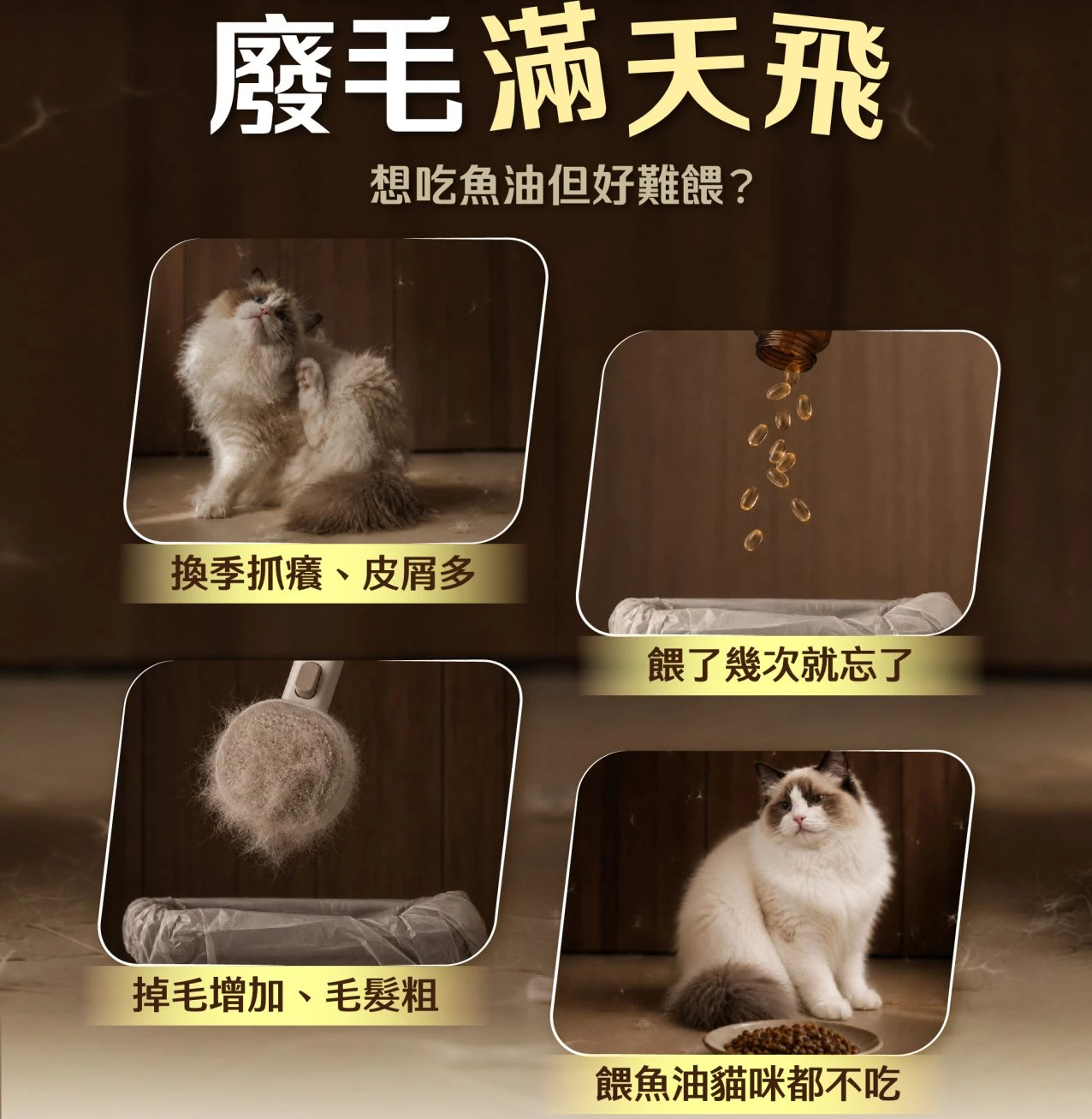 怪獸部落｜貓用98%鮮肉主食糧 德國頂級魚油主食糧 貓飼料 250g / 800g / 1.8kg
