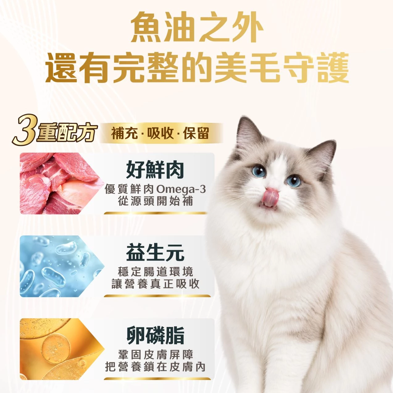 怪獸部落｜貓用98%鮮肉主食糧 德國頂級魚油主食糧 貓飼料 250g / 800g / 1.8kg