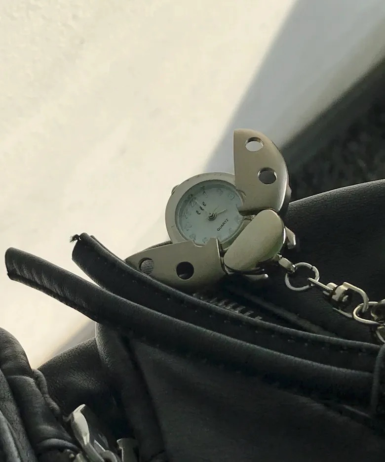 🇰🇷 eeespace LADYBUG KEYRING 瓢蟲造型 手錶 鑰匙圈 吊飾 飾品 配件 / 預購