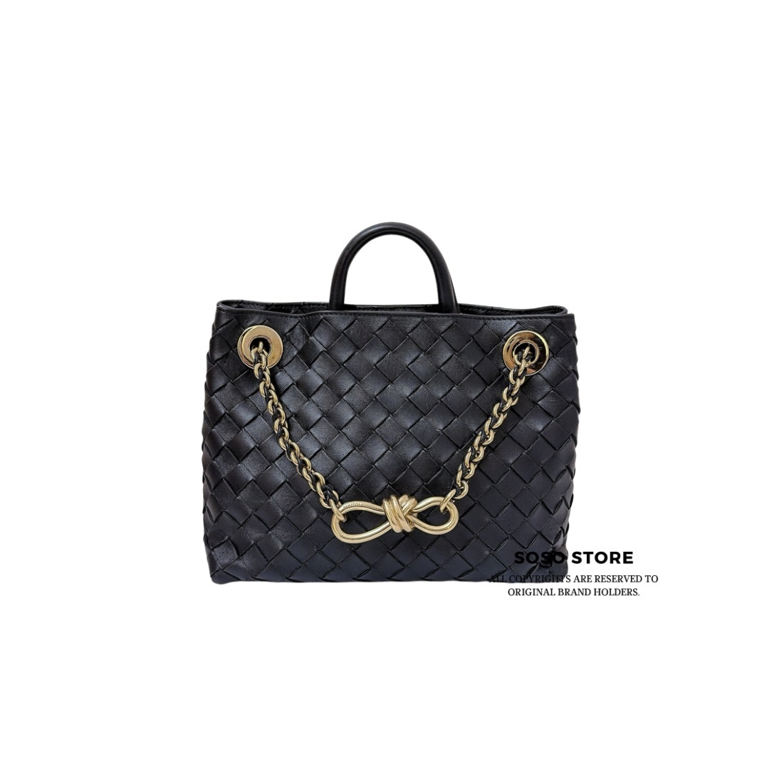 Bottega Veneta Small Andiamo With Chain - Black / GHW