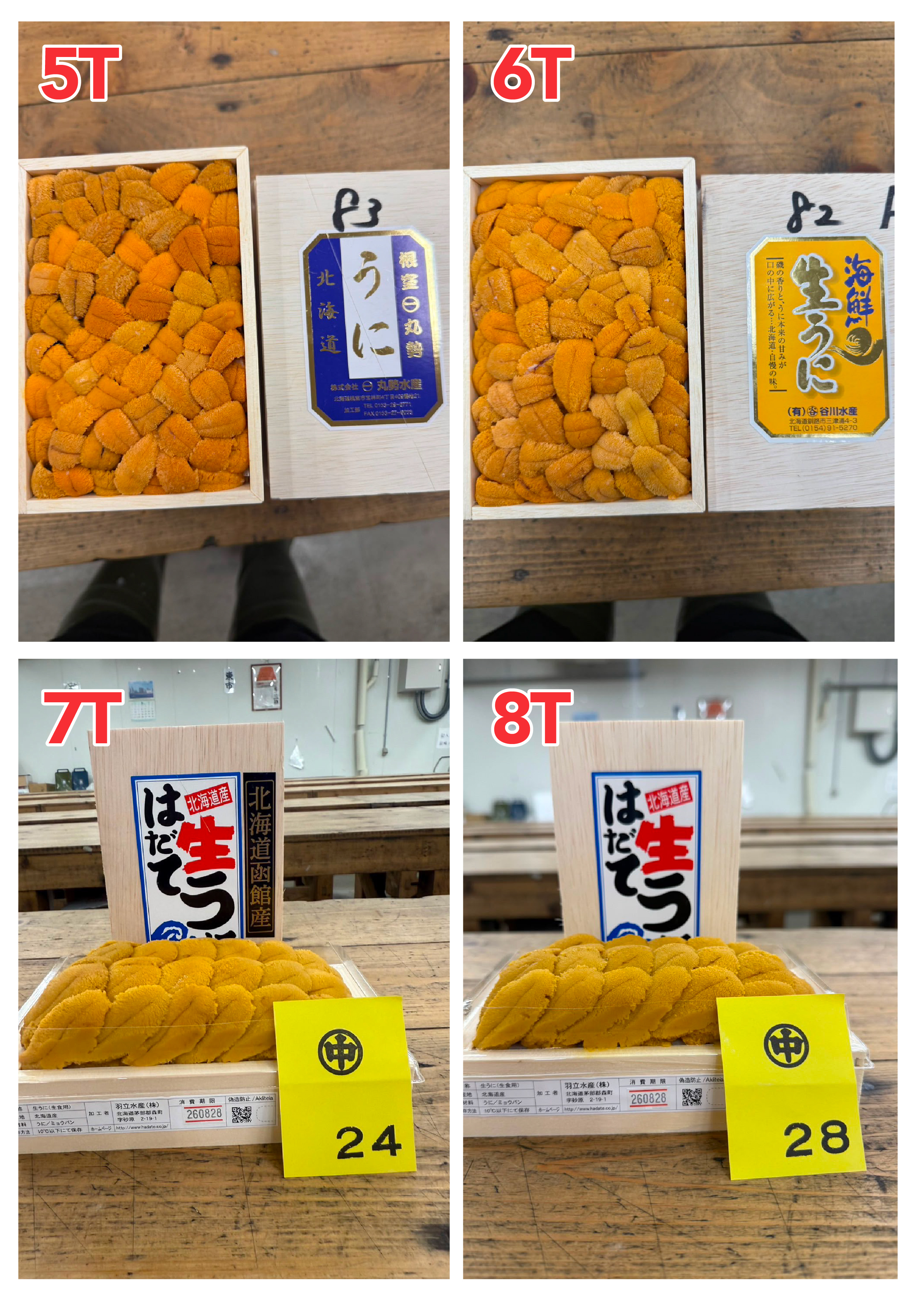 【Recommended Sea Urchin (Uni) Selection】 Updated Daily (Order Today for Next-Day Delivery)