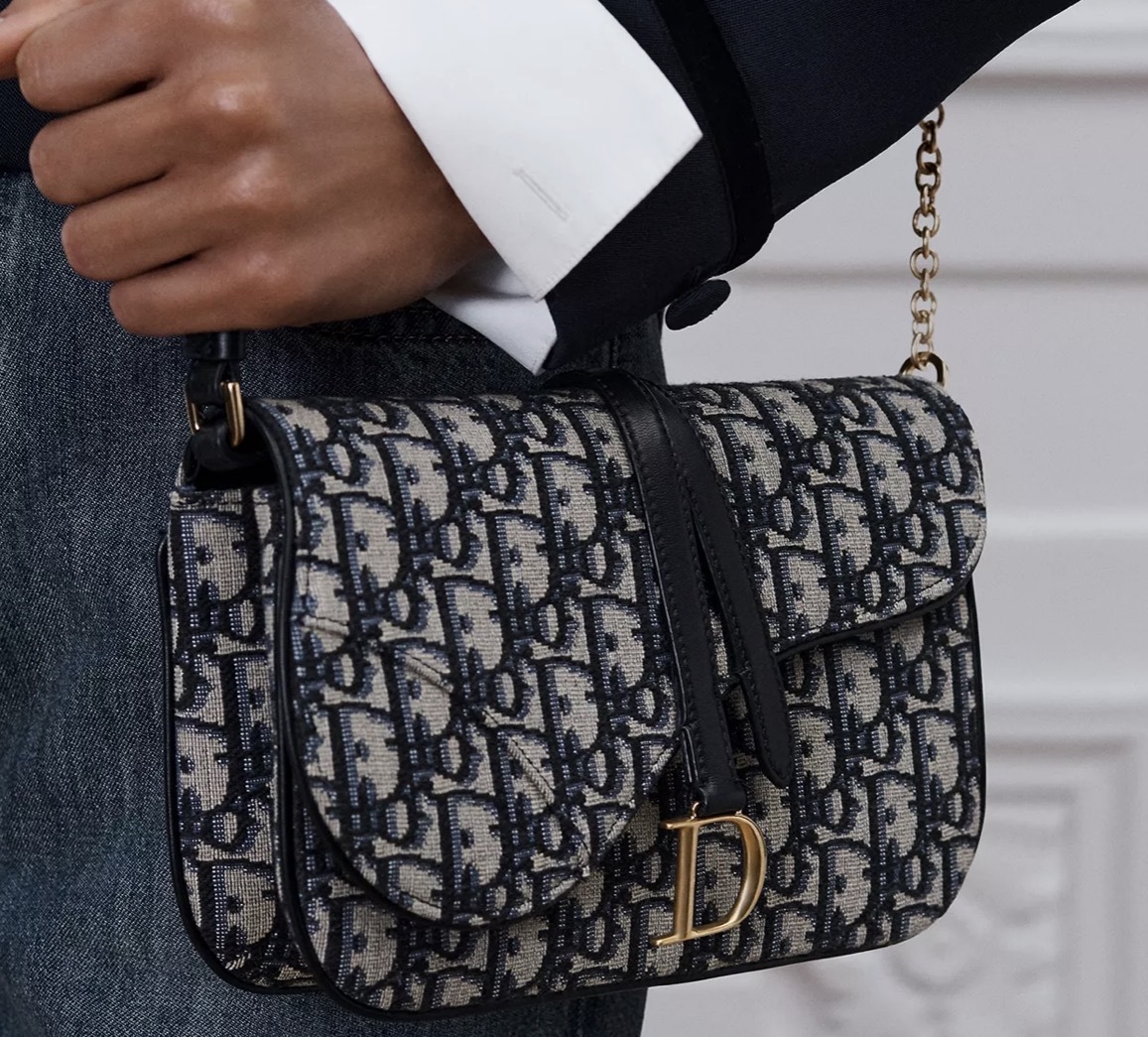 Dior Saddle Gallop Chain Pouch 鞍形金扣鏈帶小袋