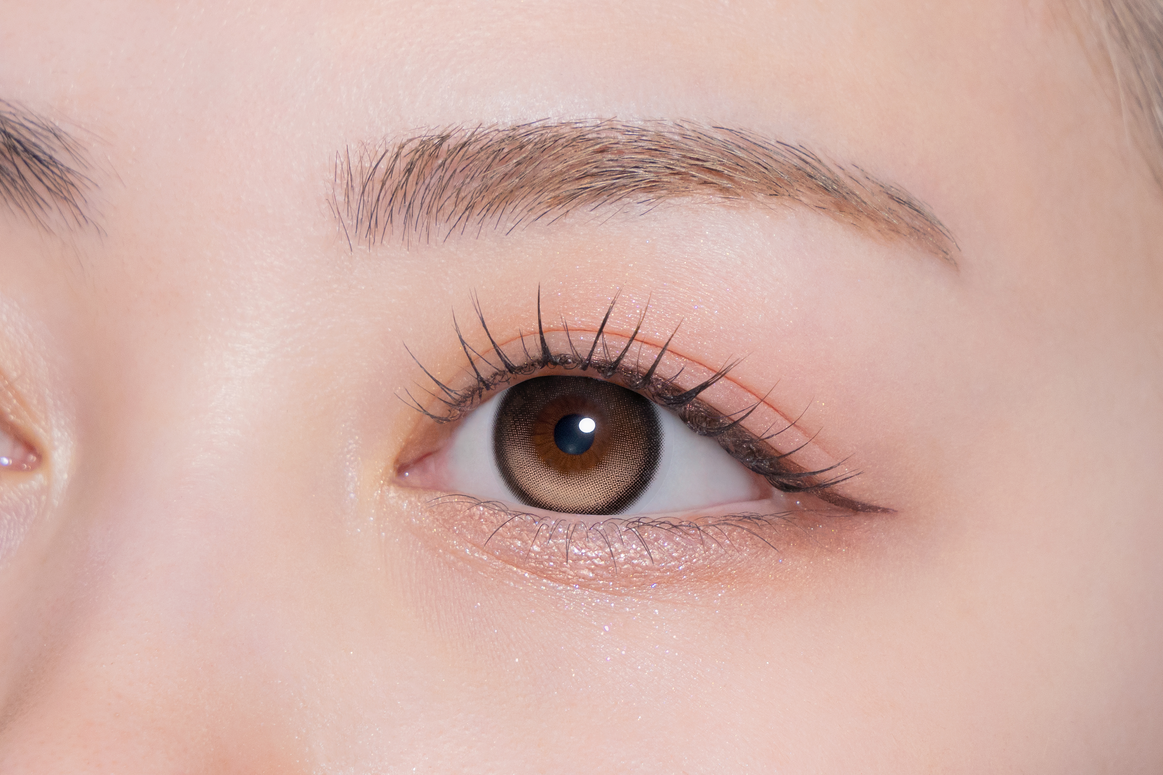 Molak 1Day Color Contact Lenses 日本Molak 每日即棄有色隱形眼鏡 10片(Rosy Drop)