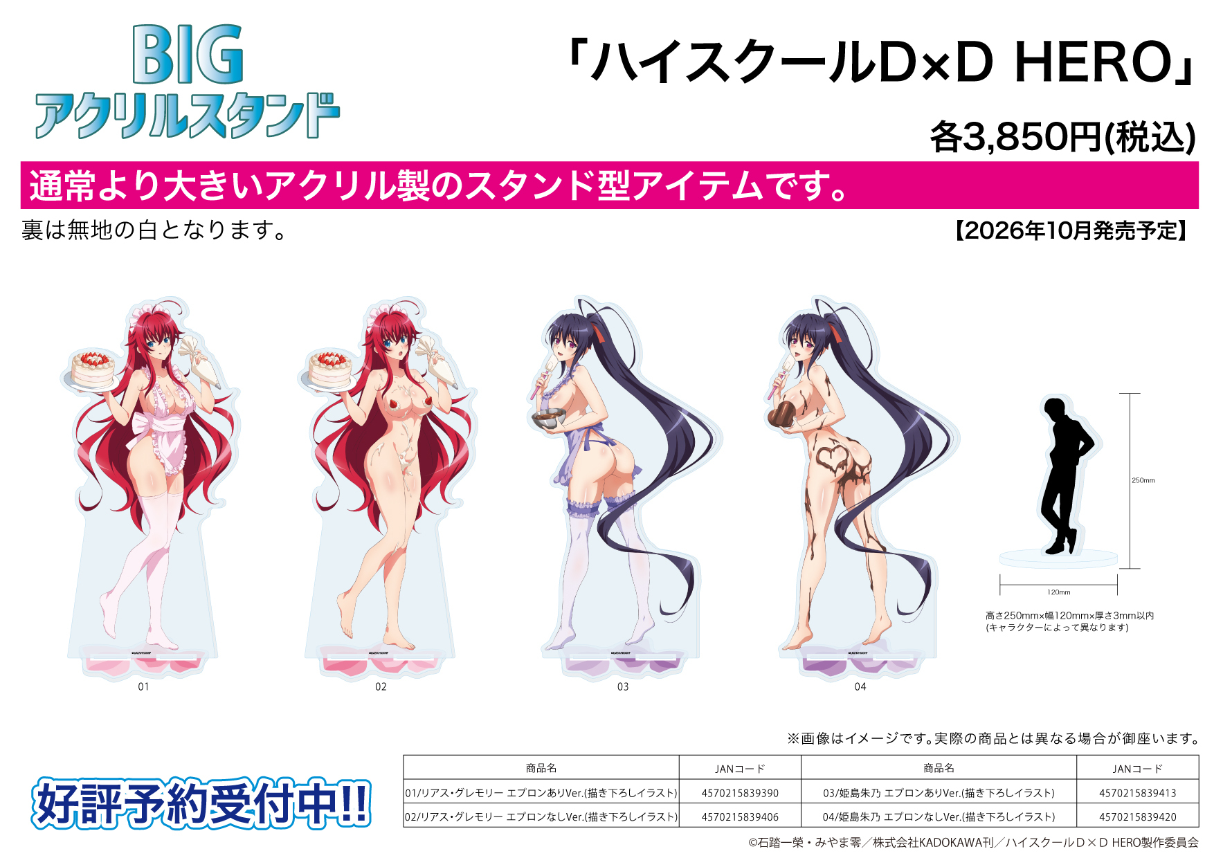 「ACG.GO」「預購」A3《惡魔高校 DxD HERO》特大壓克力立牌