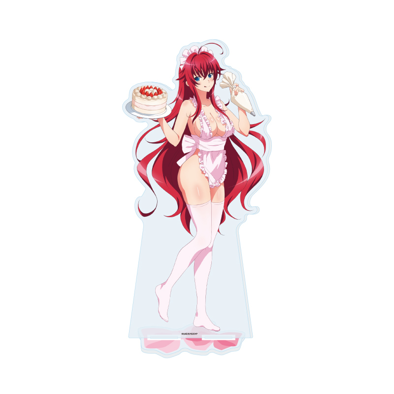 「ACG.GO」「預購」A3《惡魔高校 DxD HERO》特大壓克力立牌