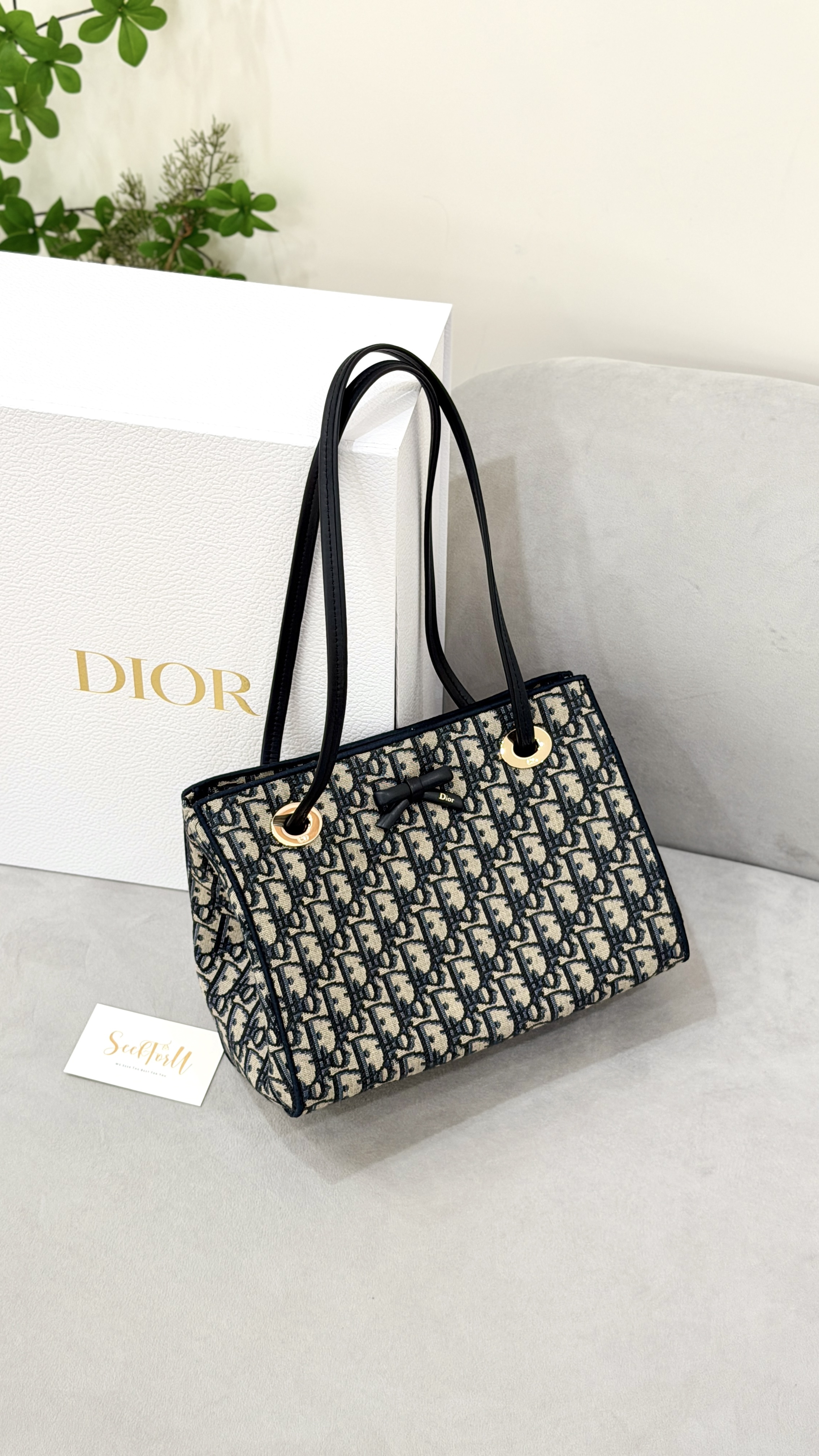 DIOR Small Dior Promenade Shopping Bag