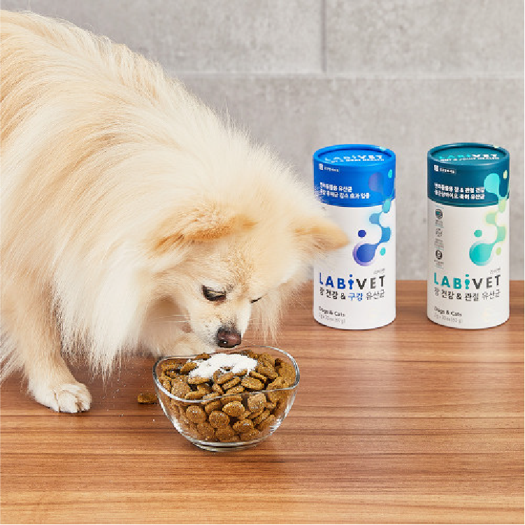 韓國 Labivet 寵物食用益生菌 (腸道+關節) 60g