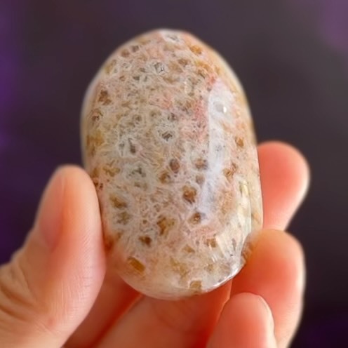 [原石] 金太陽石共生黃水晶 水晶把玩