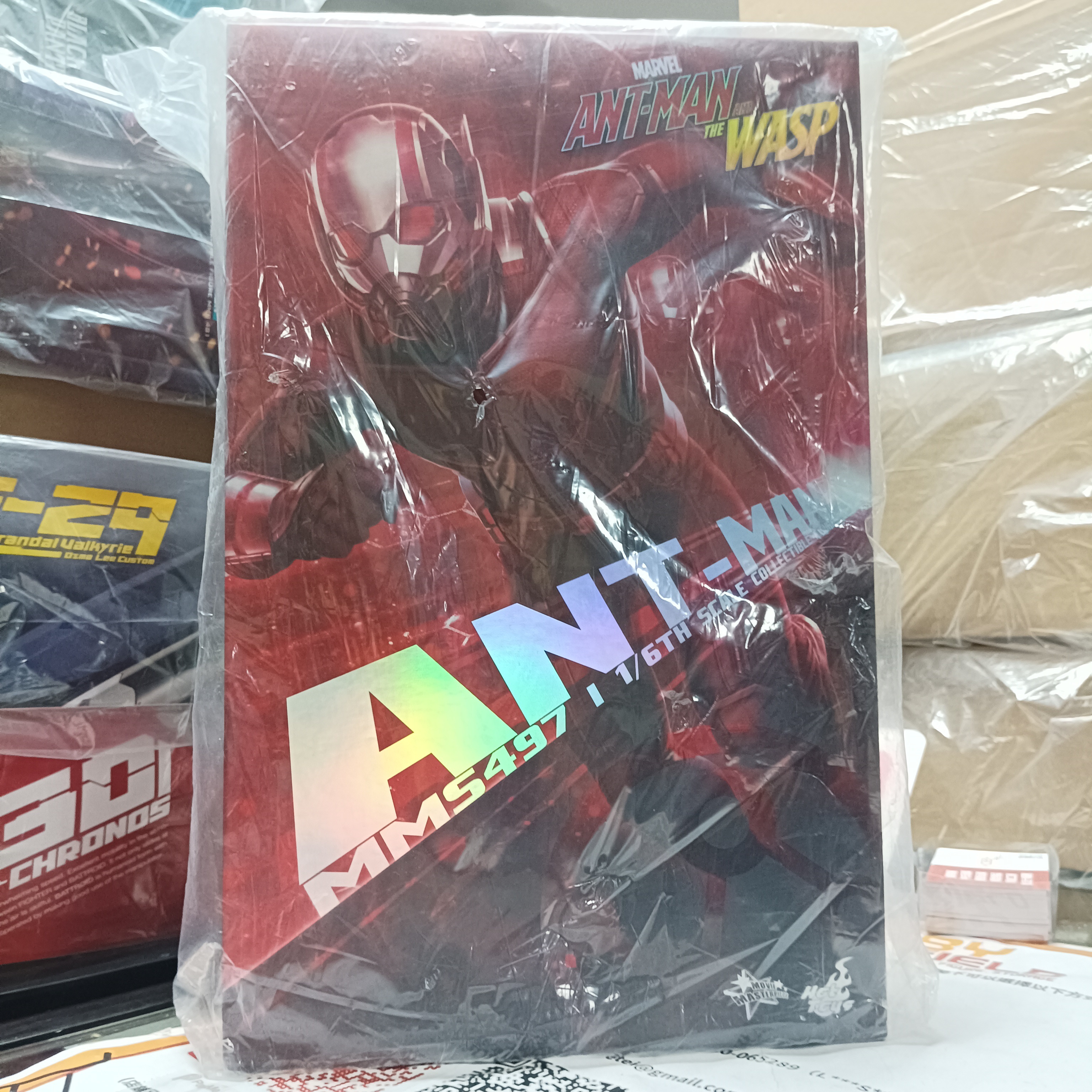 寄賣- Hot Toys mms497 Ant-man and the Wasp 蟻俠與黃蜂女 蟻俠