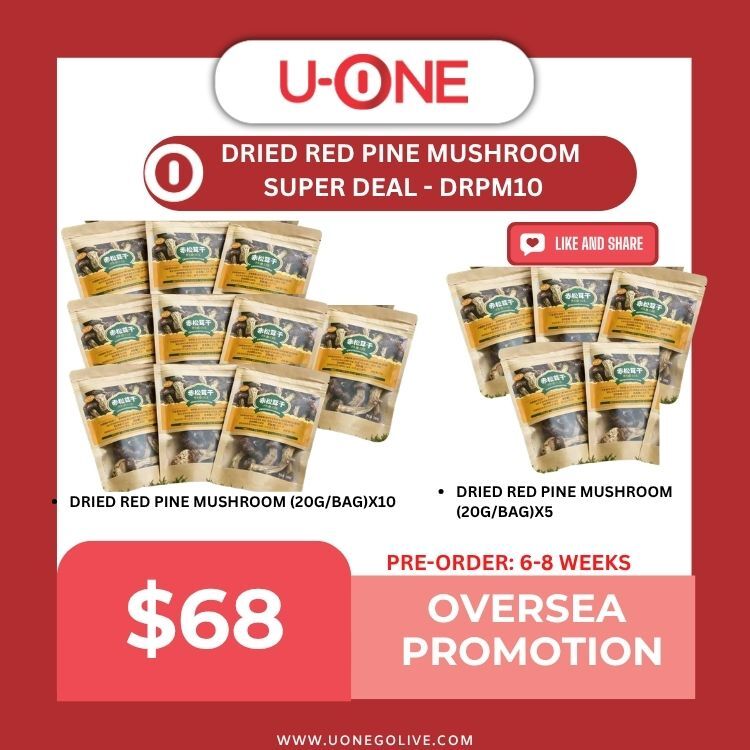 DRIED RED PINE MUSHROOM  SUPER DEAL - DRPM10