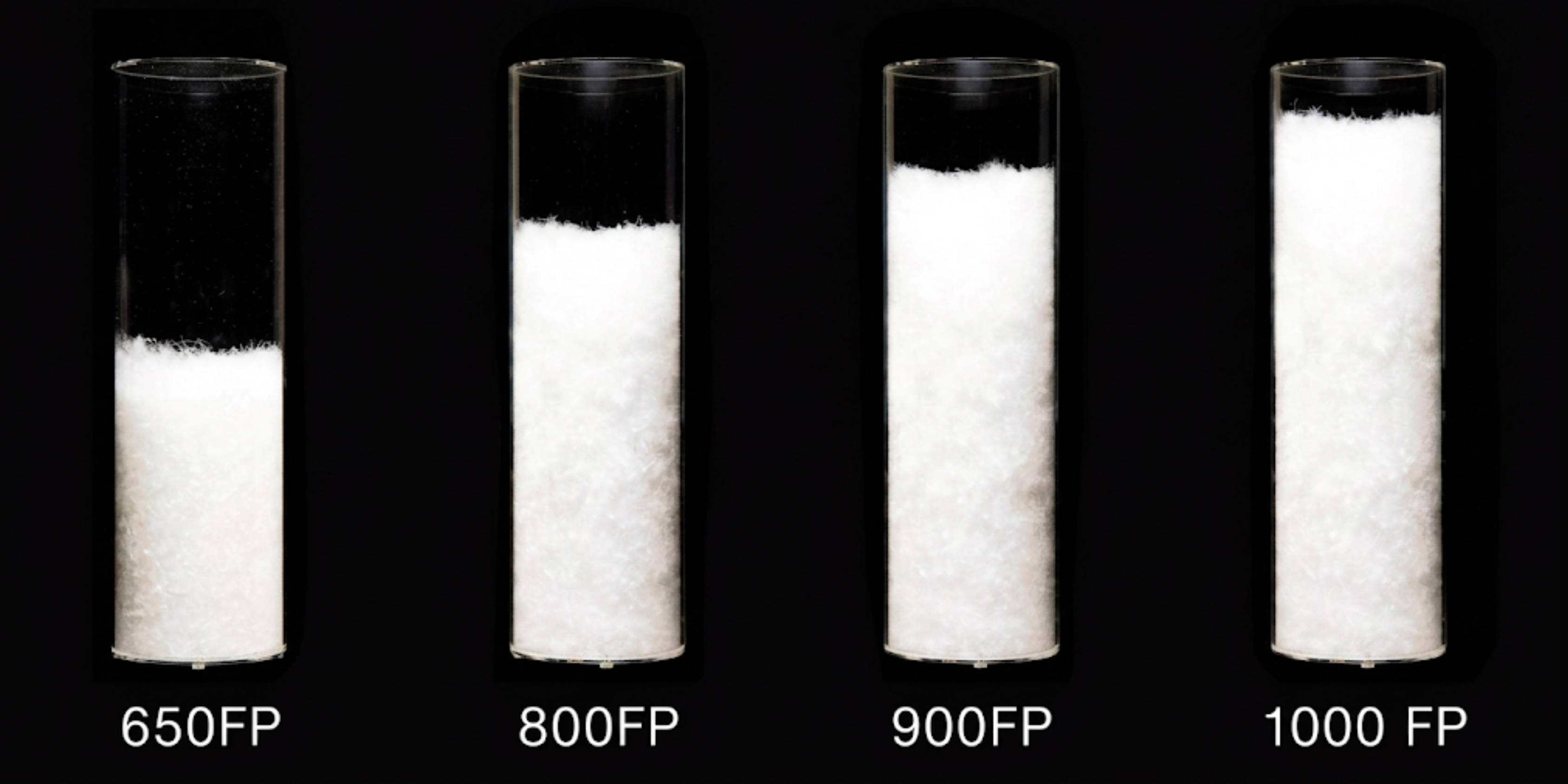 不同 FP 蓬鬆度對比