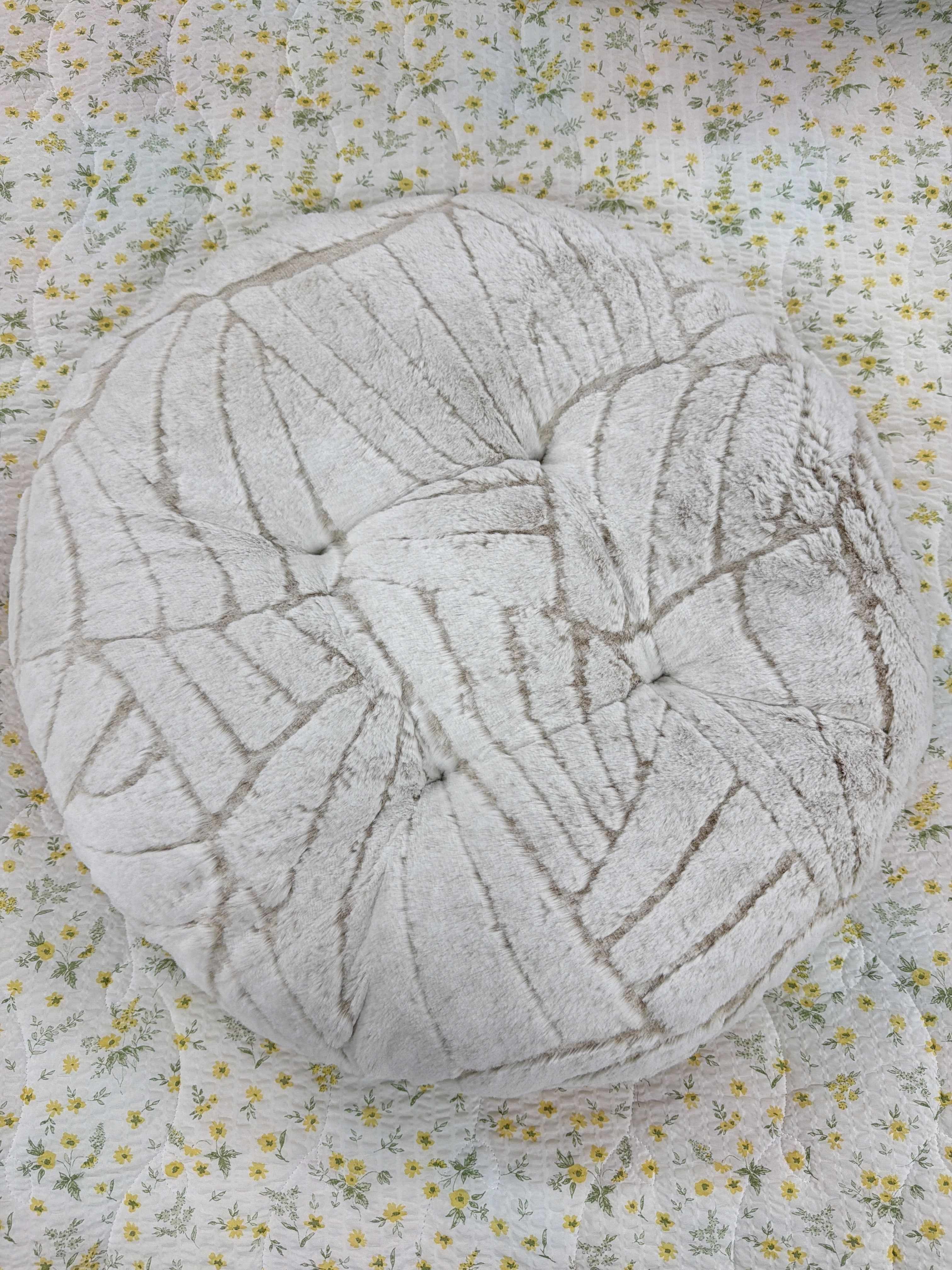 VH46 人寵共用植物纖維座墊-杏色
