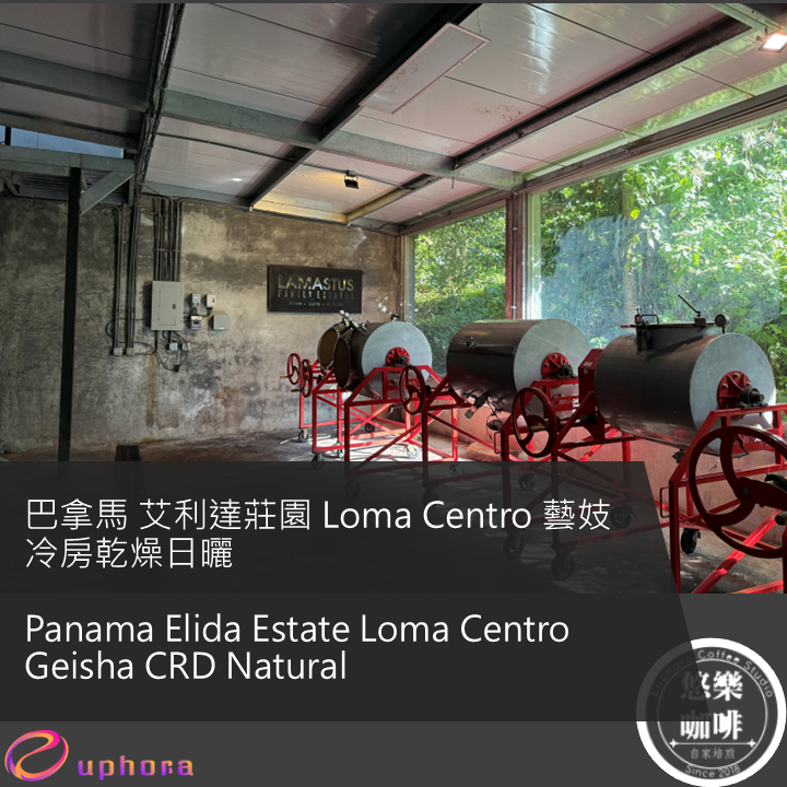 巴拿馬 艾利達莊園 Loma Centro 藝妓 冷房乾燥日曬