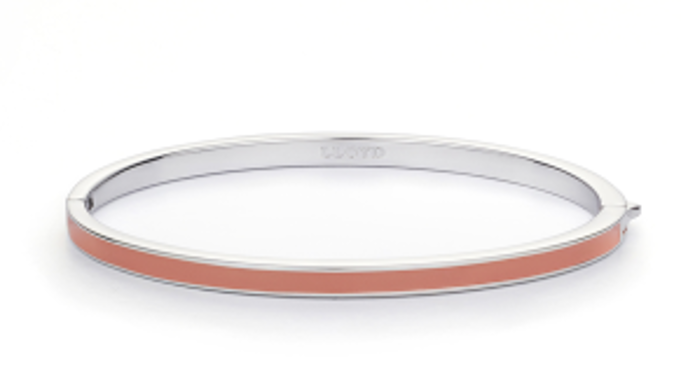 DT071 [26'SS] LLOYD Coral Beige 彩色琺瑯手鐲