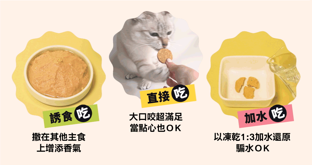 LitoMON 怪獸部落貓用凍乾主食開胃山海鮮肉餅官方產品資訊圖第 9 張