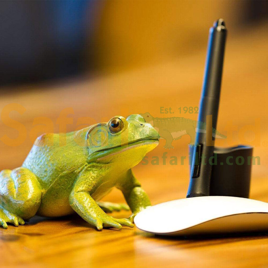 [Safari] 268729 美國牛蛙模型